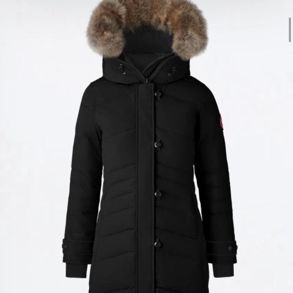 Canada Goose